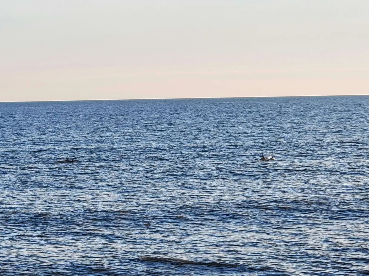 A peaceful ocean view with two small boats floating in the distance, capturing the essence of quiet contemplation and the opportunity for exploration or fishing in the area.